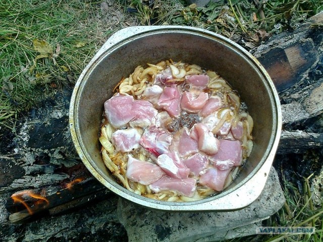 Пловские старания, ... эпическое полотно о Плове...