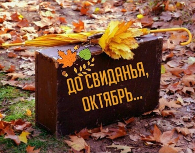 Пандемия. Коронавирус. Россия и мир. Последняя информация. Часть 26