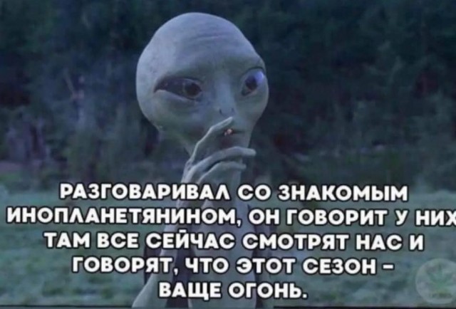 Так себе картинки 31.10.21