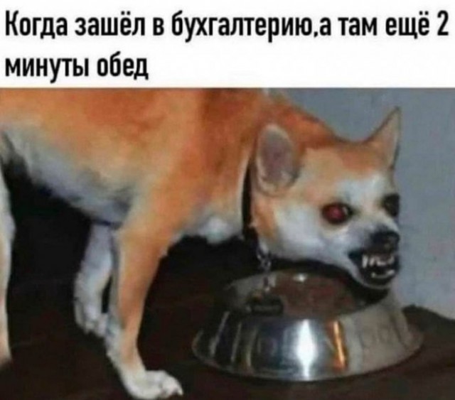 Картинки и мемы для настроения 23.11.2021