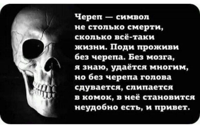 Всяческие картинки 24.11.2021