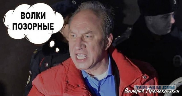 В Госдуме призвали убрать захоронения лидеров СССР с Красной площади