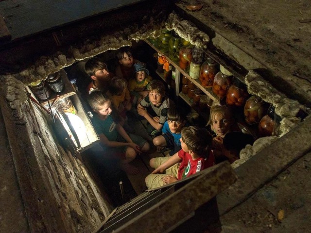 Грустные животные в киевском и харьковском метро спасаются вместе со своими хозяевами