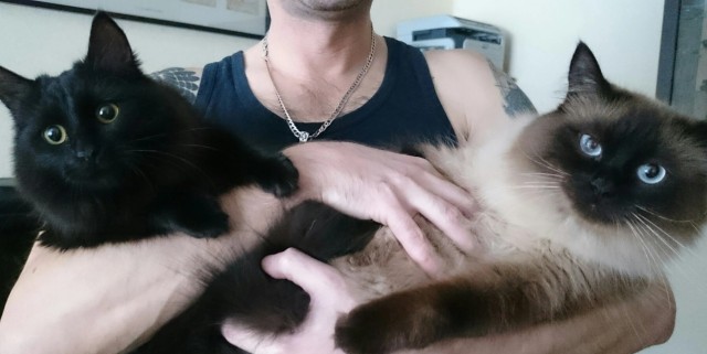 Котознатоки и котолюбители, созываю совет