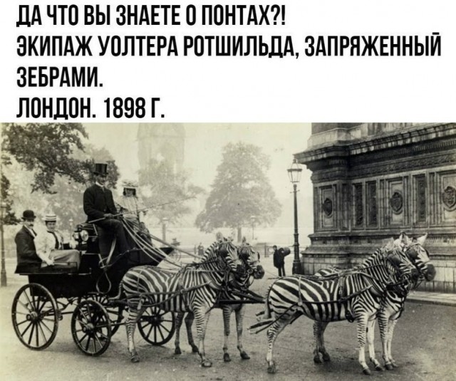 Так себе картинки 15.04.22
