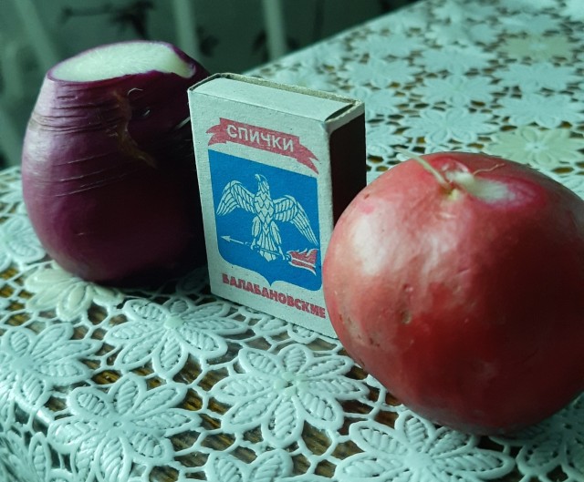 А какая у вас редиска удалась?