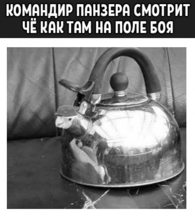 Калейдоскоп картинок