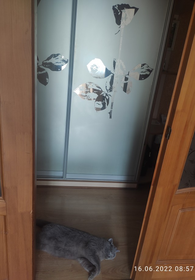 Начну котовторник чуть раньше!