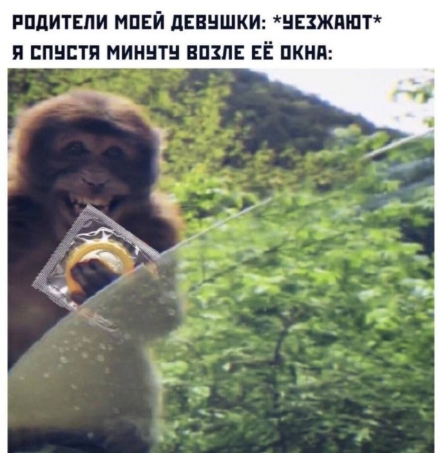 Немного мемчиков. Для взрослых 18+. Часть 12