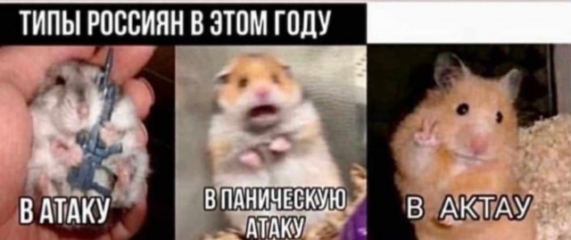 Юмор в картинках и без