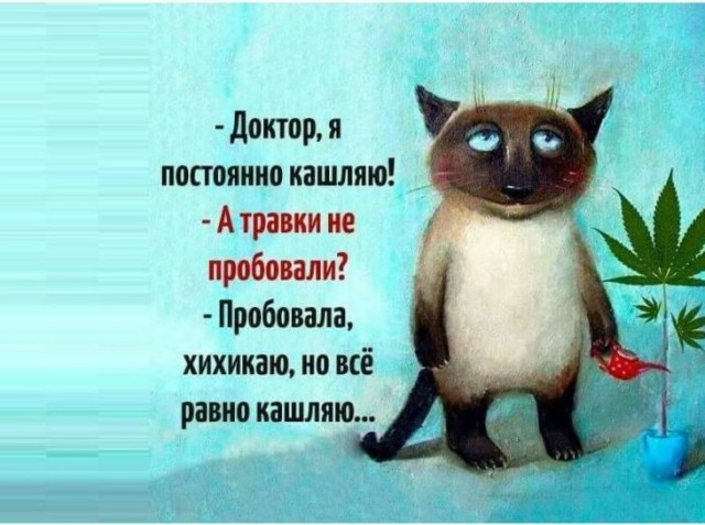 Прикольные и просто красивые картинки 01.11.22