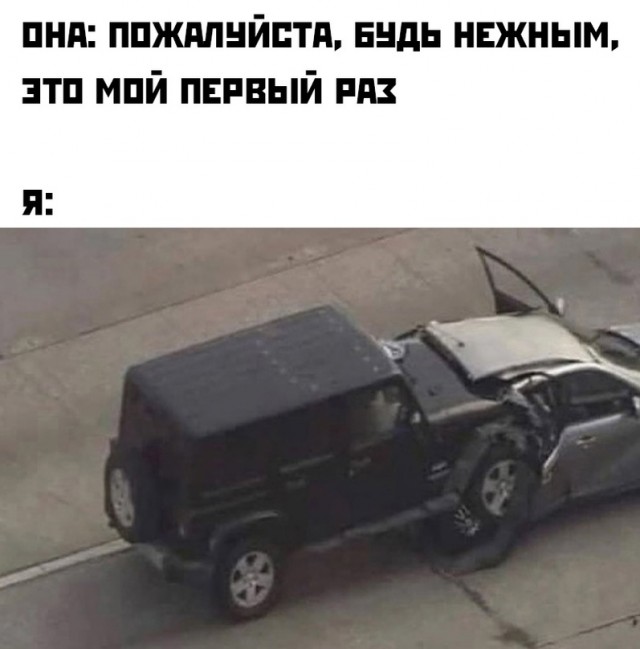 Весёлый полтишок 24.11.22