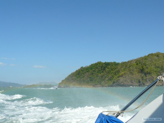 Немного Тая