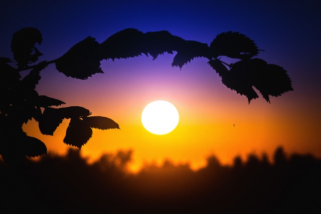 Солнце, небо и лунища