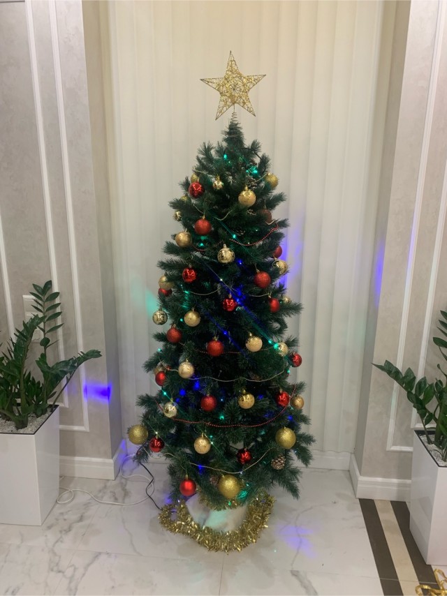 Выкладывайте свои елки!