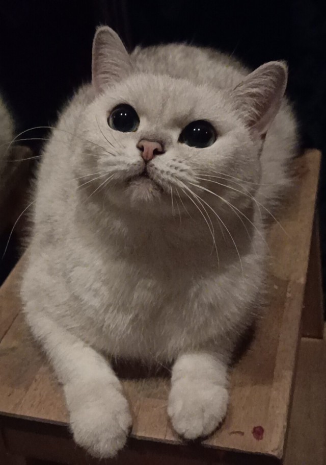 Поймал момент!