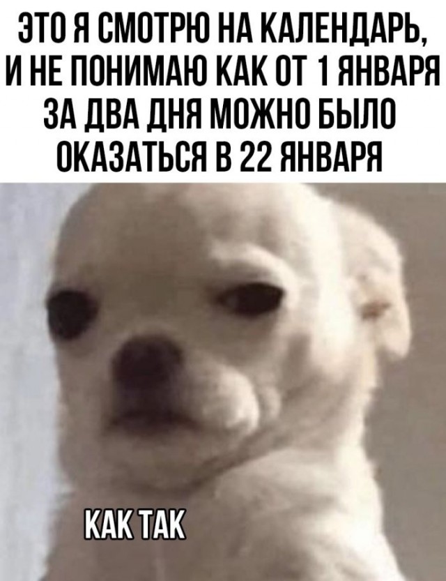 Немного картинок для настроения - 127
