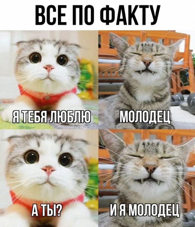 Картинки и мемы, всем хороших выходных