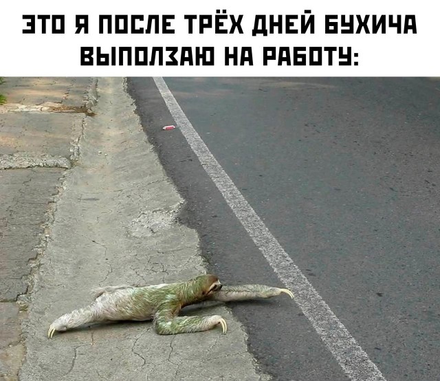 Картинки и мемы, всяко разно - 171