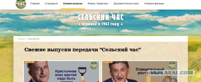 Вырос на грядке