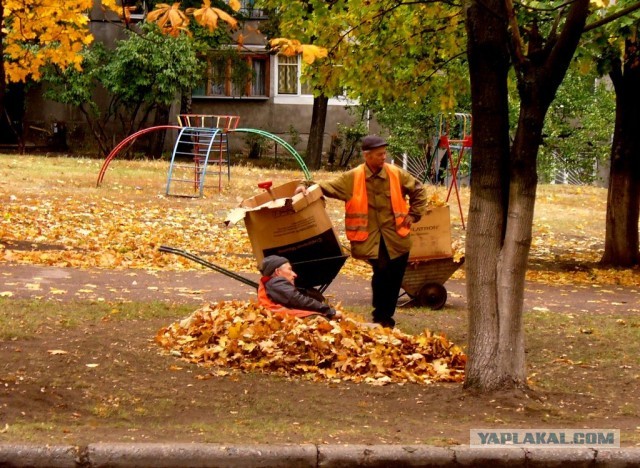 Мыльница