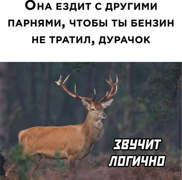 Немного наркоза