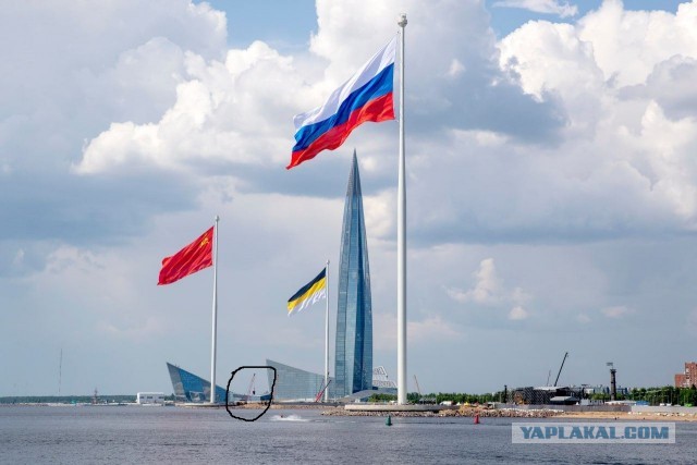 Не в бровь…