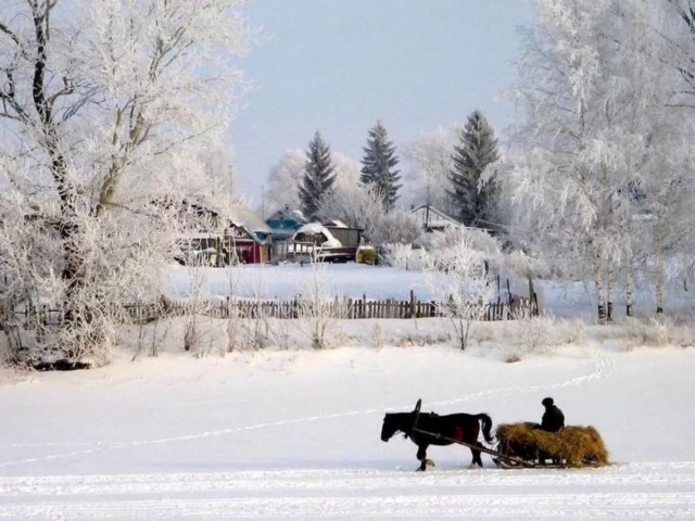 Каникулы в деревне