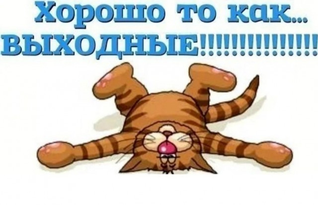 Котики из снега и котики на снегу