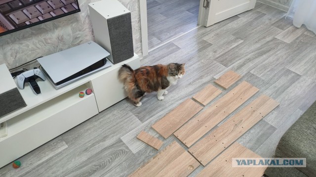 Отговорите взять Мей Куна.