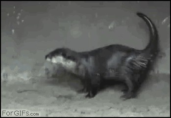 Воришка