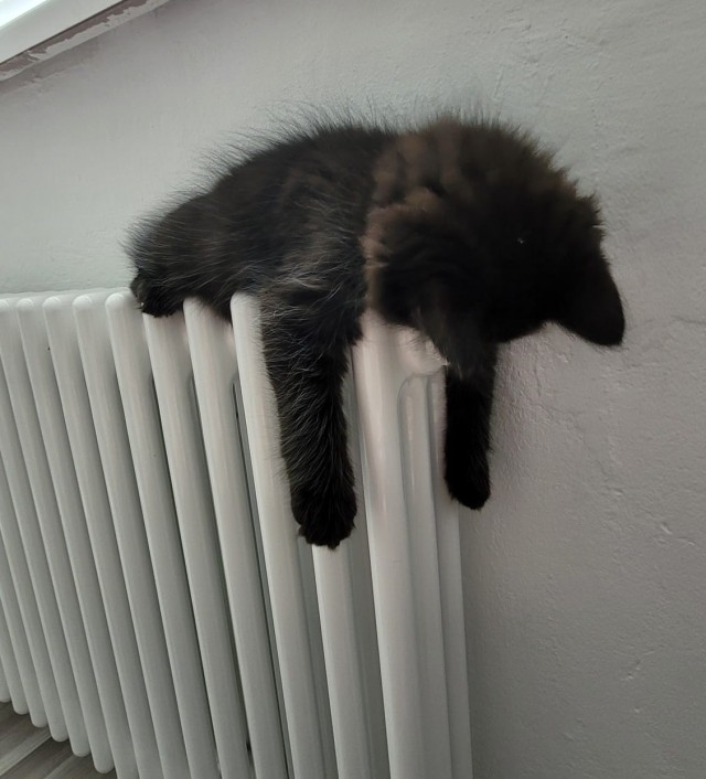 Беда пришла в мой дом