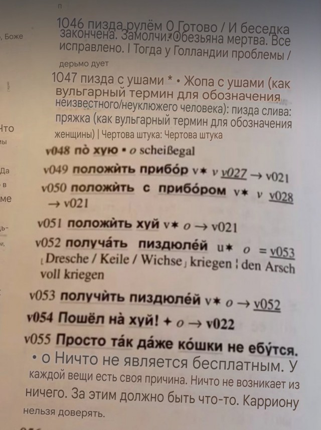 Девушка нашла русско-немецкий словарь