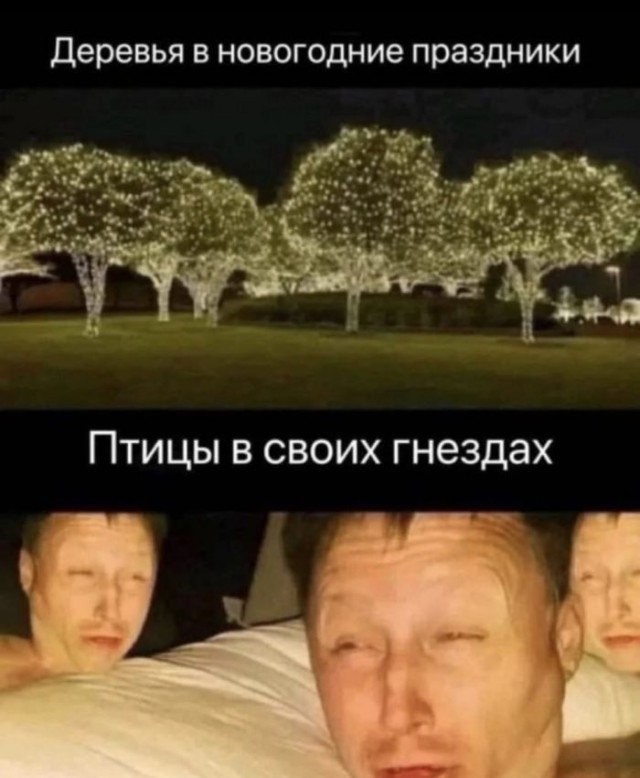 Веселые картинки в последний день января (31.01)