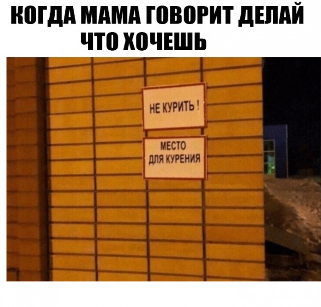 Так себе картинки 16.03.25