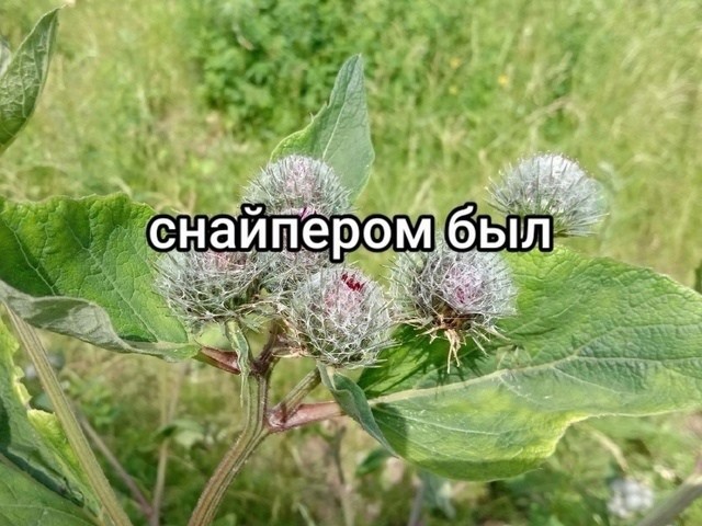 А кем вы были в детстве?