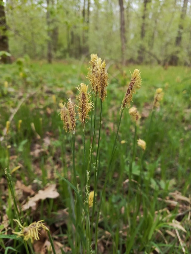 Литературная беседка v.1