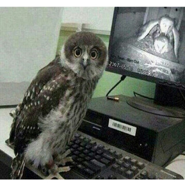 Так себе картинки 13.07.25