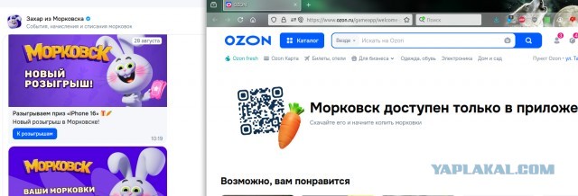Лохотрон азон