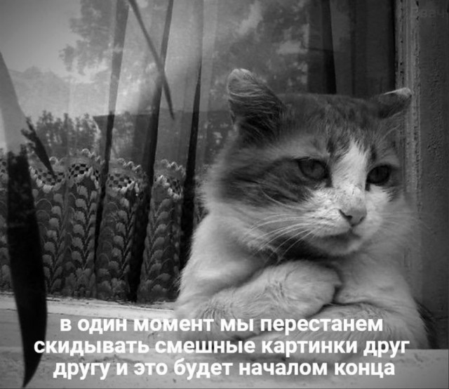 Картинки для деградации 72 (разной степени свежести)