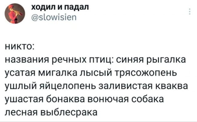 Картинки для деградации 112 (разной степени свежести)