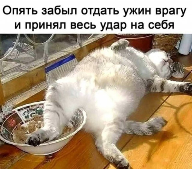 Картиночки, баянчики 03 января