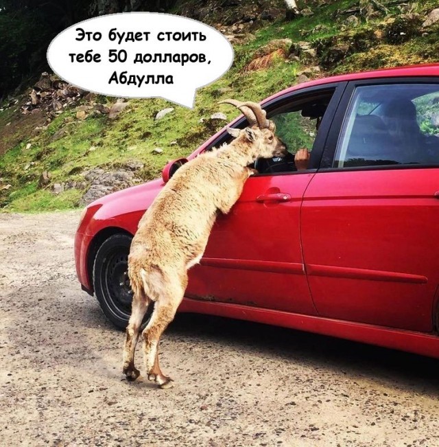 Разбитое сердечко не склеить