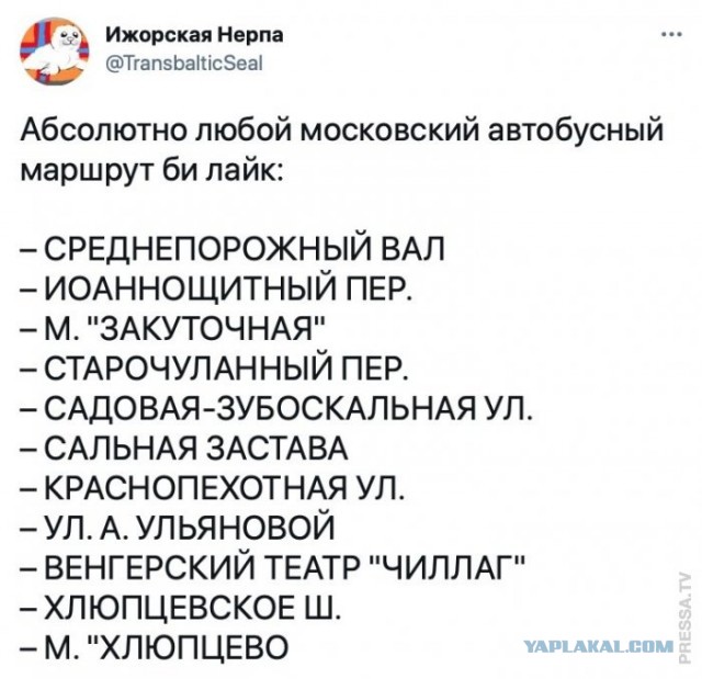 Веселые картинки в понедельник (который вторник) (10.03)
