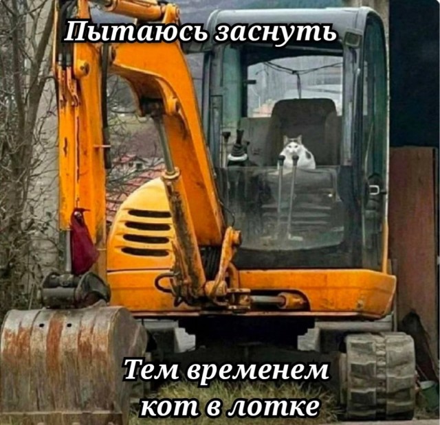 Среды картинки