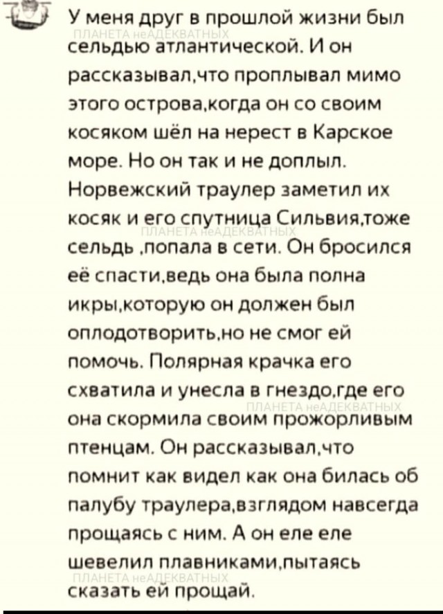 Веселые картинки в маленькую пятницу (13.05)