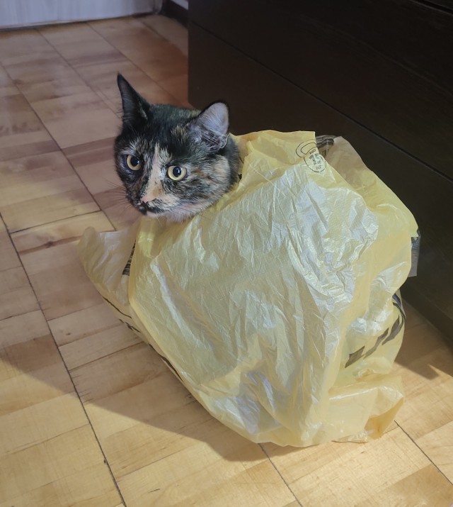 Скажите еще, что у вас не так...
