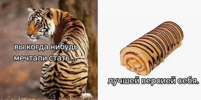 Картиночки, баянчики 25 июня