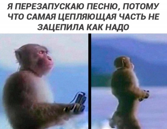 Картинки для деградации 230 (разной степени свежести)