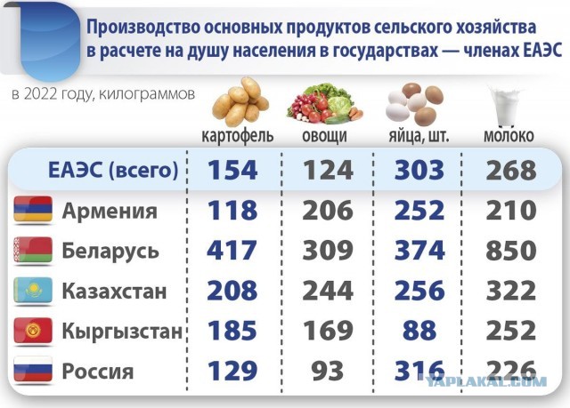 В Беларуси стартовала уборочная кампания: на поля вышли 6,8 тыс. зерноуборочных комбайнов, более 87% которых – отечественные